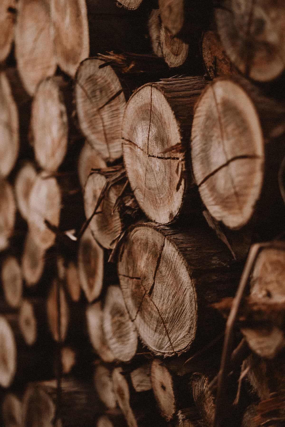 Stère de bois de chauffage empilé et mesuré